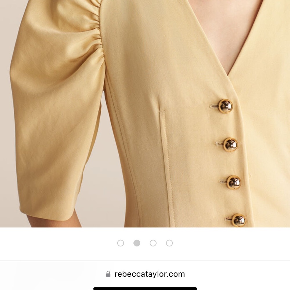 Rebecca Taylor faille dress Vintage classic gown corset dropped waist plus size